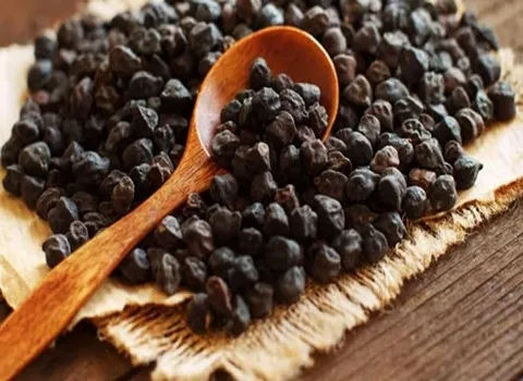 نخود سیاه؛ فیبر آهن ضد نفخ 2 لپه طبع گرم Protein