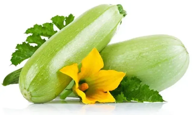 خرید کدو سبز خام + قیمت عالی با کیفیت تضمینی