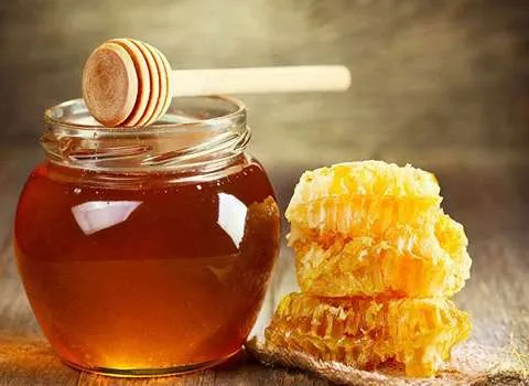 عسل چهل گیاه سبلان | خرید با قیمت ارزان