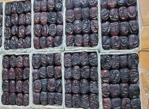 بهترین خرما کرمان مضافتی + قیمت خرید عالی