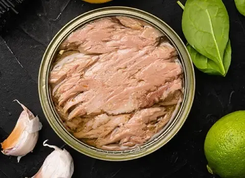 خرید کنسرو تن ماهی در آب + بهترین قیمت