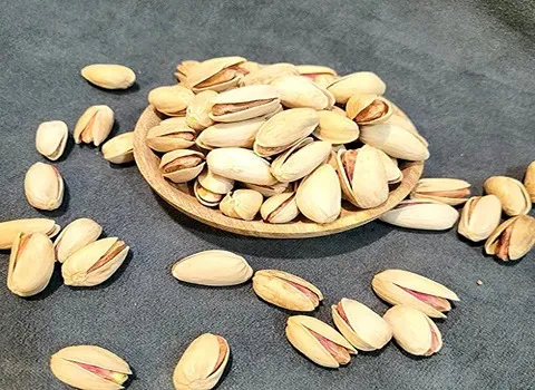 قیمت خرید پسته اکبری تازه + تست کیفیت