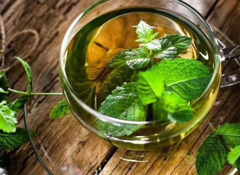 لیست قیمت عرق نعنا ممتاز ۱۴۰۱