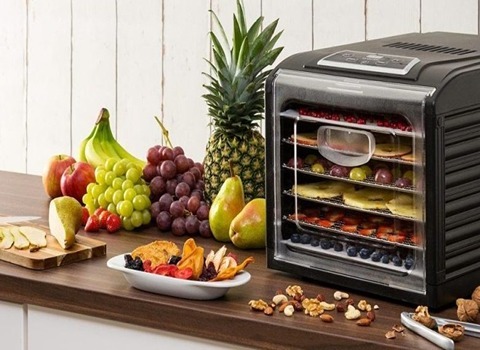 راهنمای خرید دستگاه فریز درایر میوه + قیمت عالی