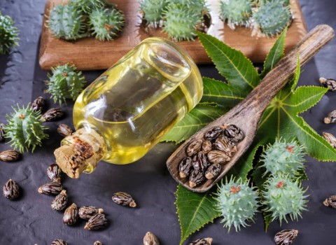 معرفی روغن کرچک عالی + بهترین قیمت خرید