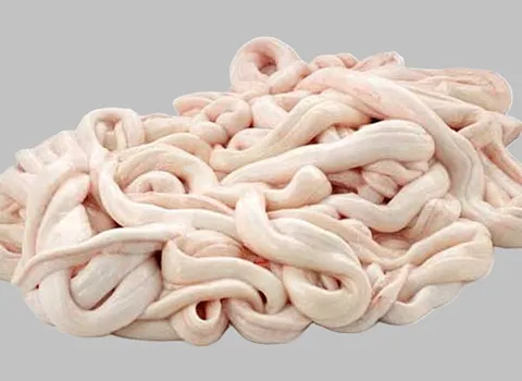 قیمت و خرید روده بزرگ گوسفند با مشخصات کامل