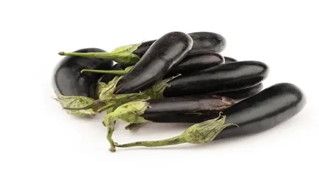 بادمجان قلمی کوچک یک گزینه هوشمندانه برای باغبانان شهری