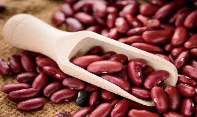 قیمت لوبیا قرمز + خرید و فروش لوبیا قرمز عمده