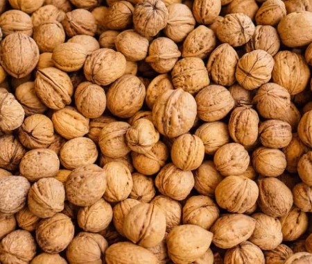 قیمت گردو همدان