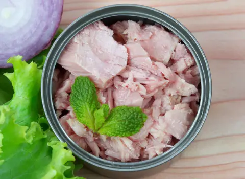 کنسرو ماهی ایران؛ درب آسان باز شو کالری پایین پروتئین بالا امگا3