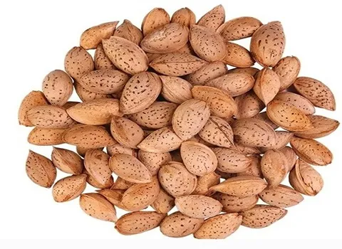 قیمت بادام سنگی ۱۴۰۳