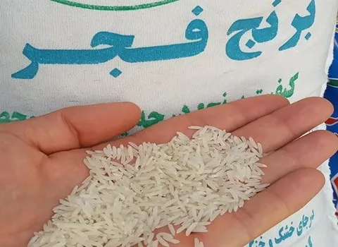 برنج فجر؛ سفید رنگ قد کشیده طبعی سرد کشت گیلان