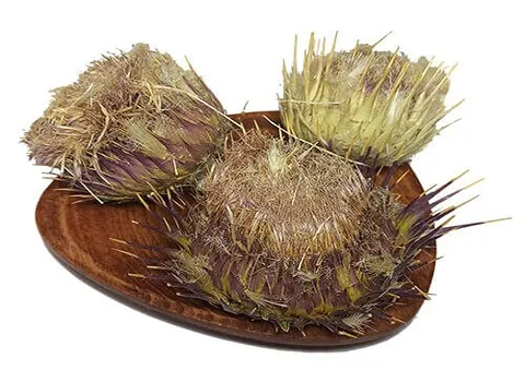 قیمت خرید گیاه خار مریم خشک شده + عکس