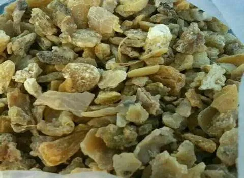 گیاه آنغوزه خراسان آشنایی صفر تا صد قیمت خرید عمده