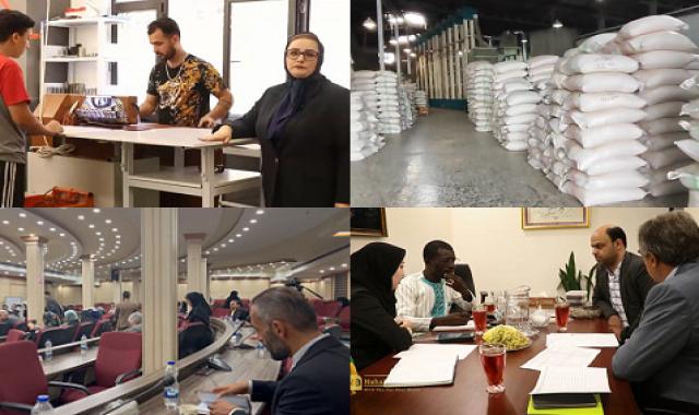 آرادنگاری فیلمی ۸ مهر