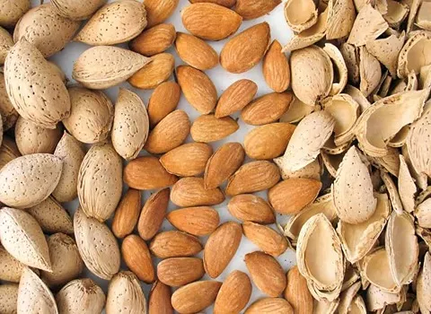 مغز بادام خام؛ پودری سورتینگ مناسب دسر شیرینی almonds