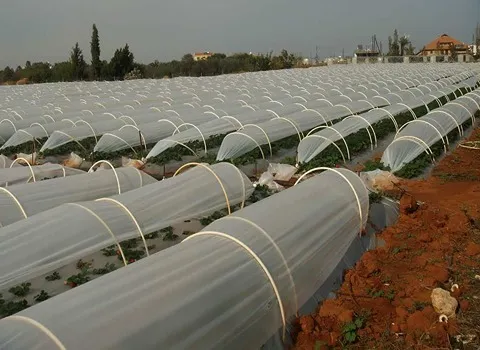 نایلون کشاورزی تهران؛ آبی سفید مشکی (مانع ورود آلودگی) مناسب گلخانه