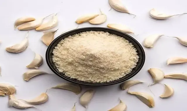 پودر سیر شیراز (چاشنی) صنعتی درمان نفخ سوزش معده