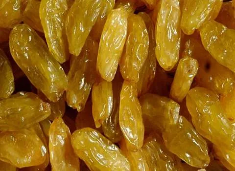 کشمش کالیفرنیایی؛ طلایی دانه کشیده کاهش فشار خون رفع کم خونی