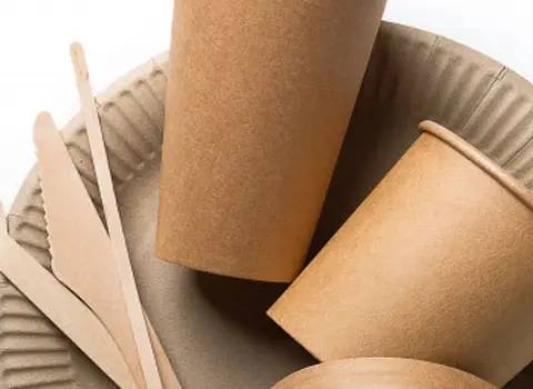 ظروف یکبار مصرف گیاهی؛ پلاستیکی 2 کاربرد مهمانی نذری