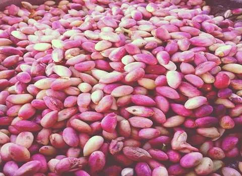 پسته خام درجه یک؛ بافت ترد پخت کیک شیرینی ویتامین C1