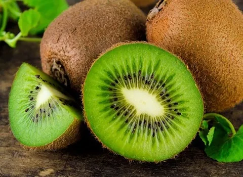 قیمت کیوی شمال