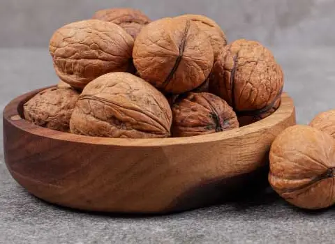 صادرات گردو به امارات | قطب تجارت جهانی