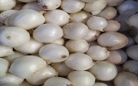 قیمت پیاز سفید تهران