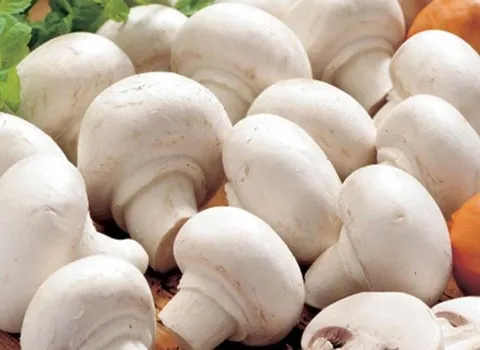 قارچ بسته بندی 400 گرمی؛ دکمه ای قیفی Cremini حاوی ویتامین (B1 D)