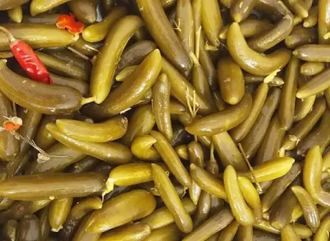 قیمت خیارشور فله ای