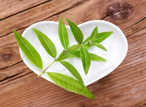 راهنمای خرید گیاه درمانی به لیمو + قیمت عالی