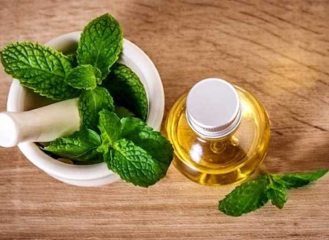 قیمت و خرید انواع عرق نعناع کوهی سنتی، گیاهی،خوش بو و تازه