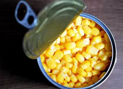 کاربرد کنسرو ذرت برای لاغری + قیمت خرید