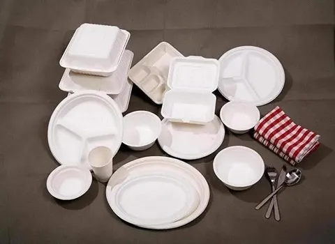 ظروف یکبار مصرف پلاستیکی | خرید با قیمت ارزان