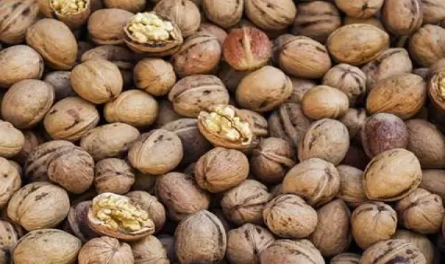 قیمت و خرید گردو پوست کاغذی ایرانی + فروش ارزان