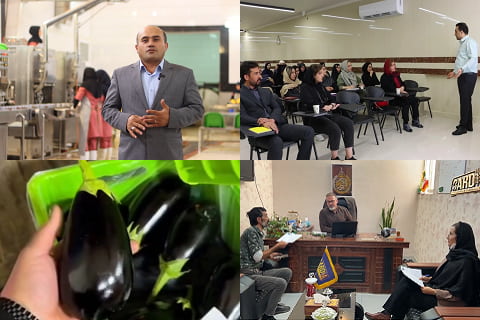 آرادنگاری فیلمی ۱۷ مهر