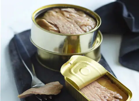 خرید کنسرو تن ماهی ساده بریس با قیمت استثنایی