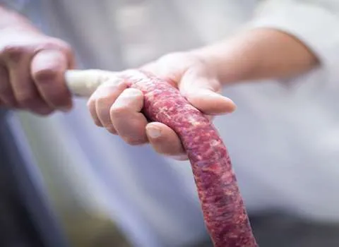 قیمت خرید هنگ روده گوساله + راهنمای استفاده