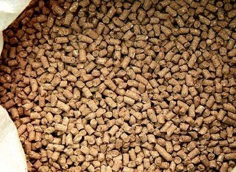 راهنمای خرید خوراک ماهی شور + قیمت عالی