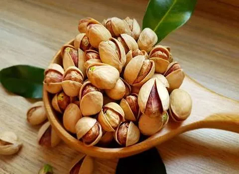 راهنمای خرید پسته کله قوچی کرمان + قیمت عالی