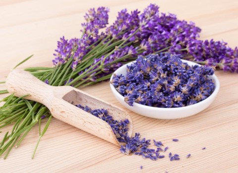 مناسب ترین قیمت گیاه اسطوخودوس کوهی در دی ۱۴۰۱