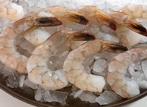 قیمت میگو تازه در بندرعباس