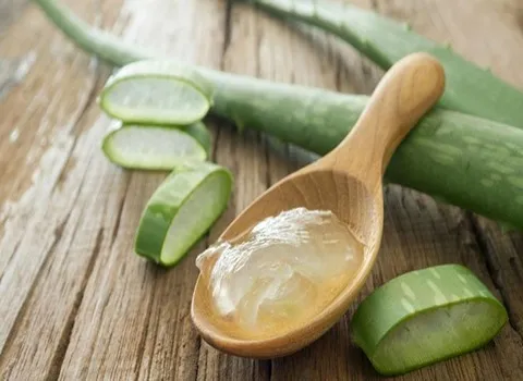 بهترین برگ آلوورا خوراکی + قیمت خرید عالی