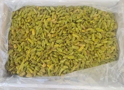 قیمت کشمش صادراتی کاشمر