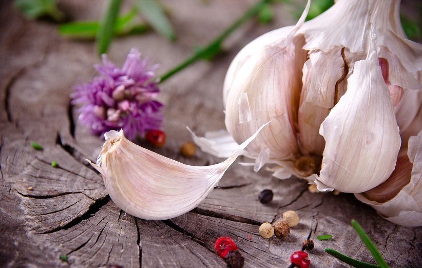 تجارت های حلزونی بین آرادی ها - ۱۳ شهریور