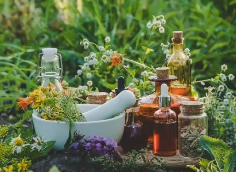 گیاه دارویی برای فشار چشم؛ خشک تازه درمان فشار خون بابونه زعفران وزن (700 900) گرم