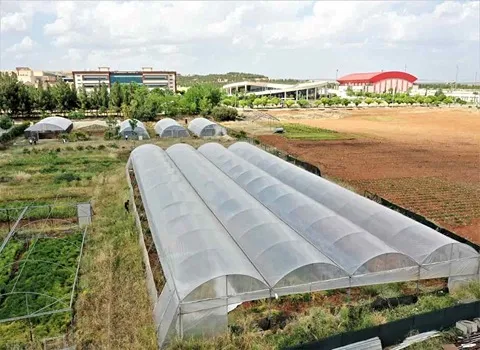 نایلون کشاورزی کاج؛ مادون قرمز ضد باکتری 3 نوع (مالچ علوفه مشکی) PVC