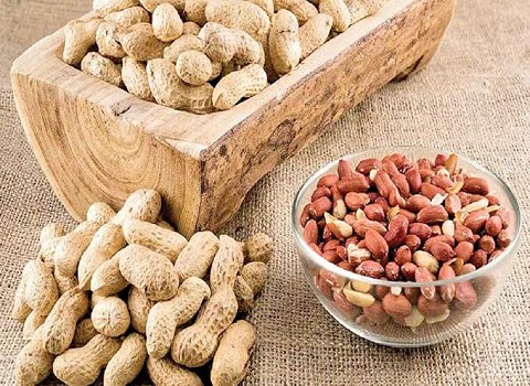 بادام زمینی غلاف دار صادراتی؛ طعم عالی دارای طبع گرم حاوی ویتامین C