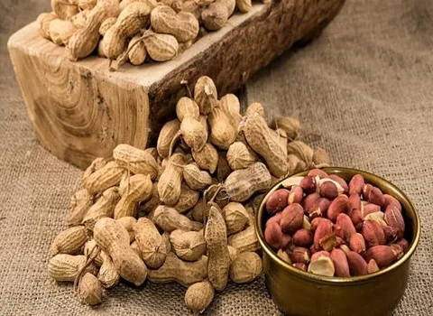 خرید بادام زمینی آستانه شور + بهترین قیمت