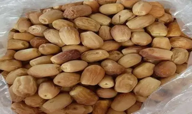 قیمت خرما قصب صادراتی + مشخصات بسته بندی عمده و ارزان